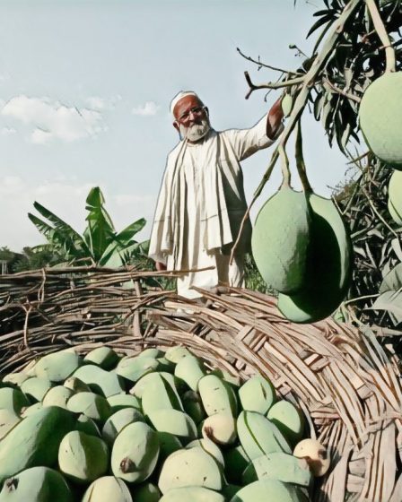 Mango Man of India