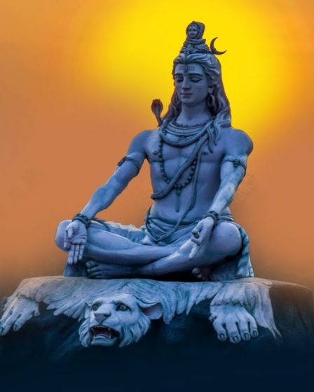 Shiva Cover