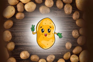 Potato the All ROunder