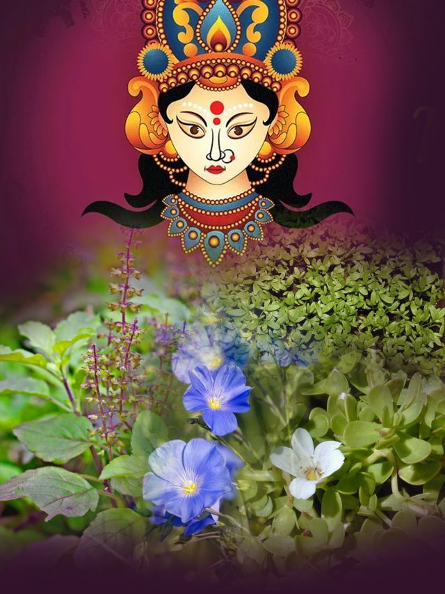 9 औषधियों के पेड़ पौधे जिन्हें नवदुर्गा कहा गया है | 9 medicinal plants of nine devi durga