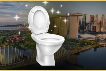Toilet Flushing Rules In Singapore