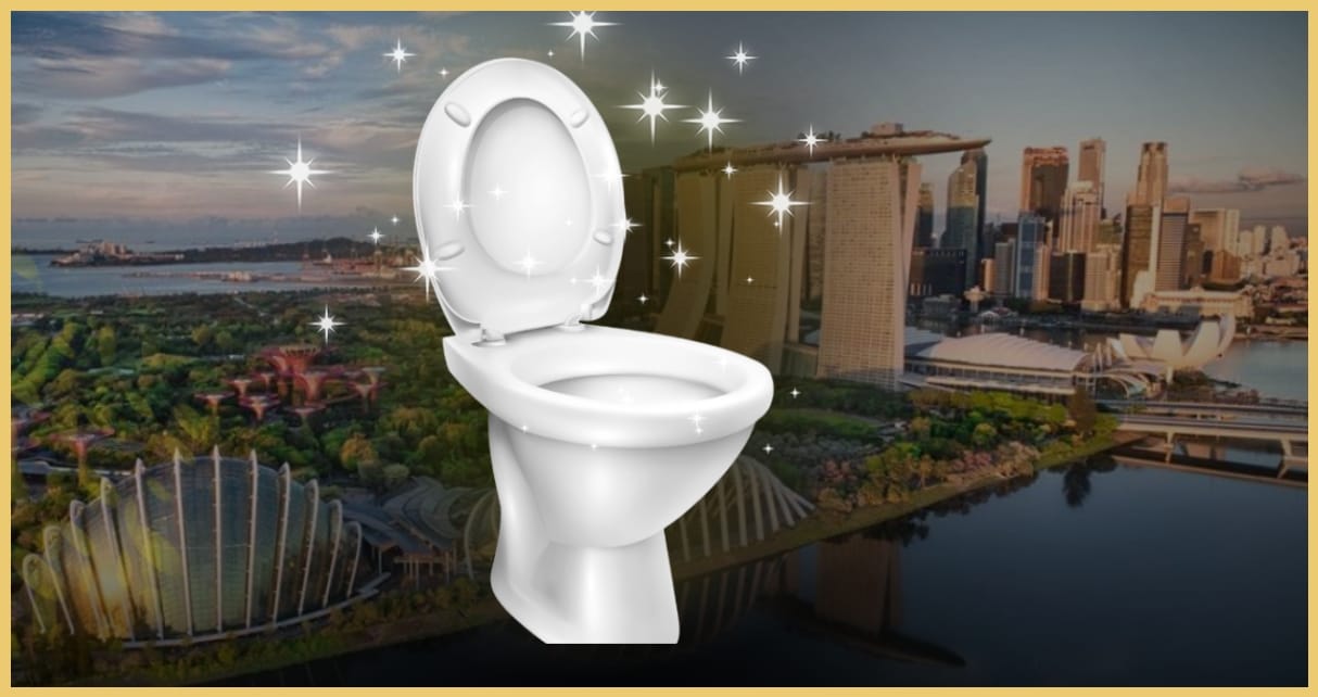 Toilet Flushing Rules In Singapore