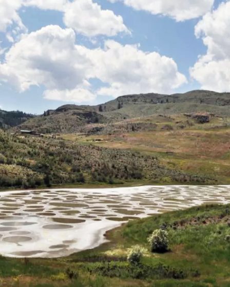 Mystical Spotted Lake Canada