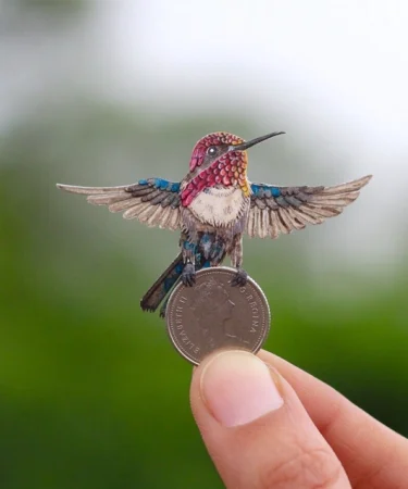 Bee Hummingbird the tinniest bird on the planet