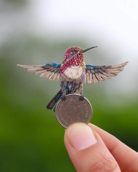Bee Hummingbird the tinniest bird on the planet